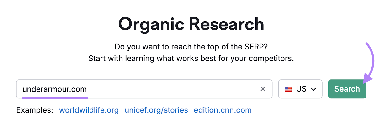 domain entered into Organic Rankings tool