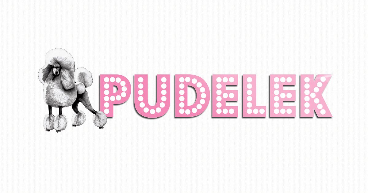 pudelek.pl favicon